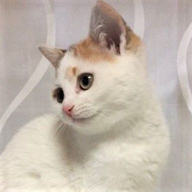 名無しちゃんの写真