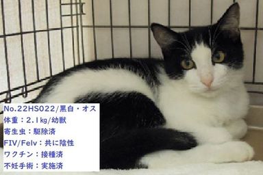 22HS022（管理番号）の写真