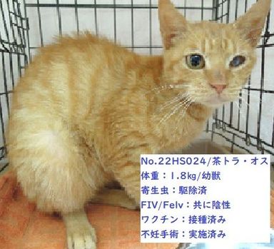 22HS024（管理番号）の写真