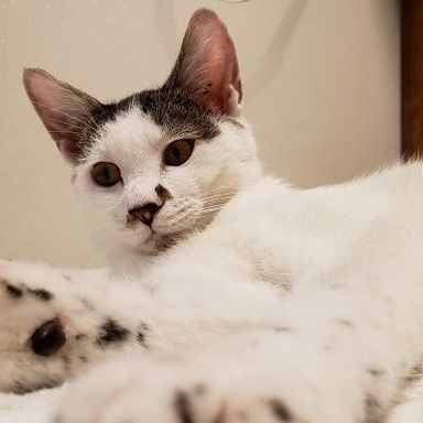 名無しちゃんの写真