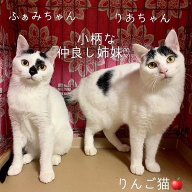 ふぁみちゃん♡りあちゃん