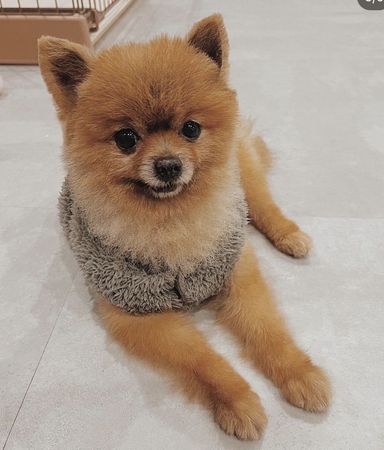 ほうとうの写真
