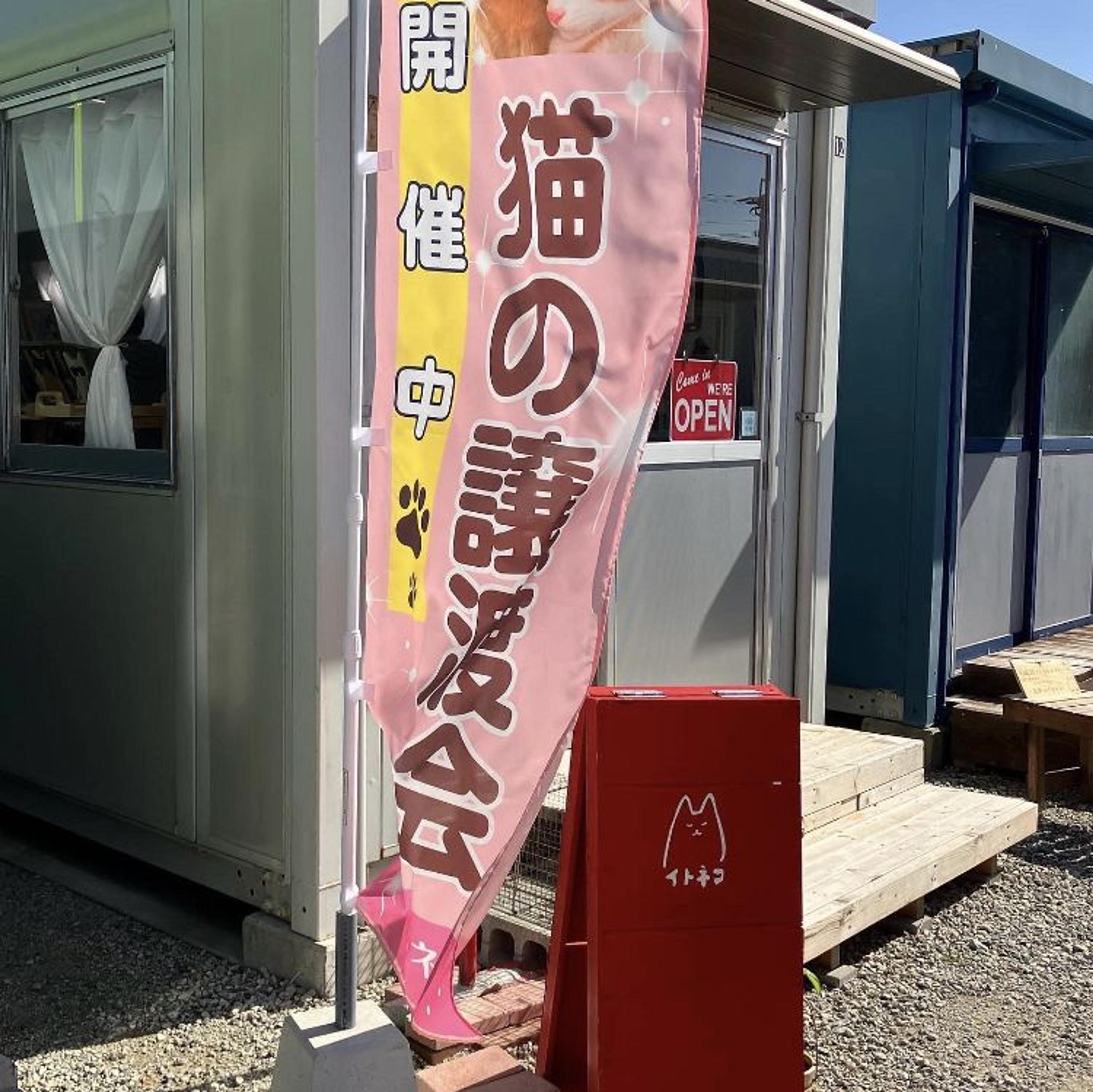 pet-image-9