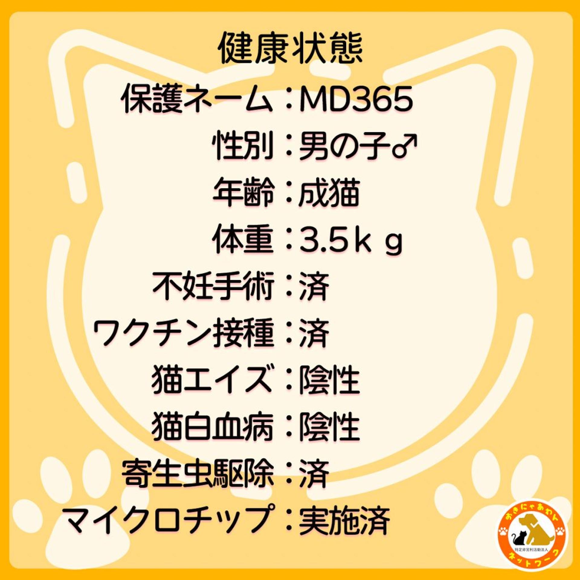pet-image-2