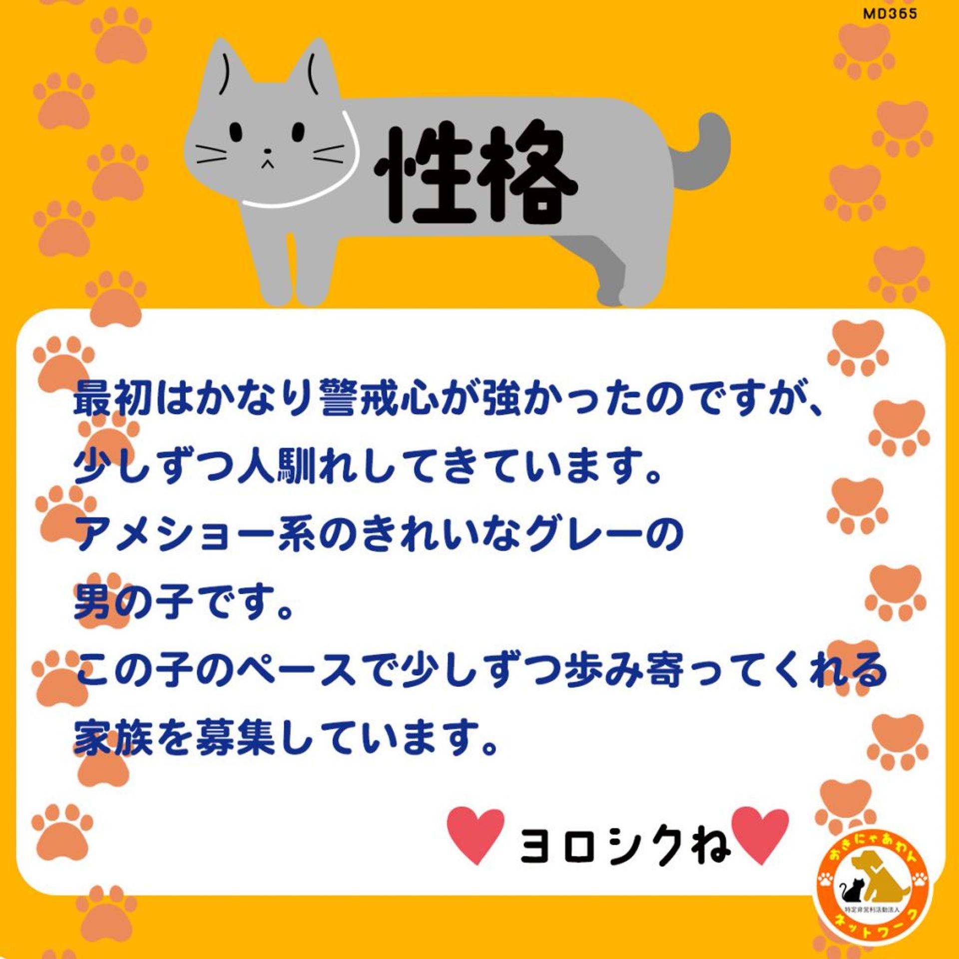 pet-image-3