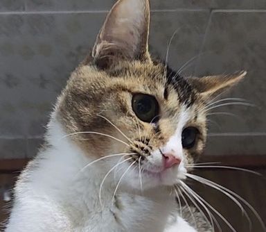 ミノの写真