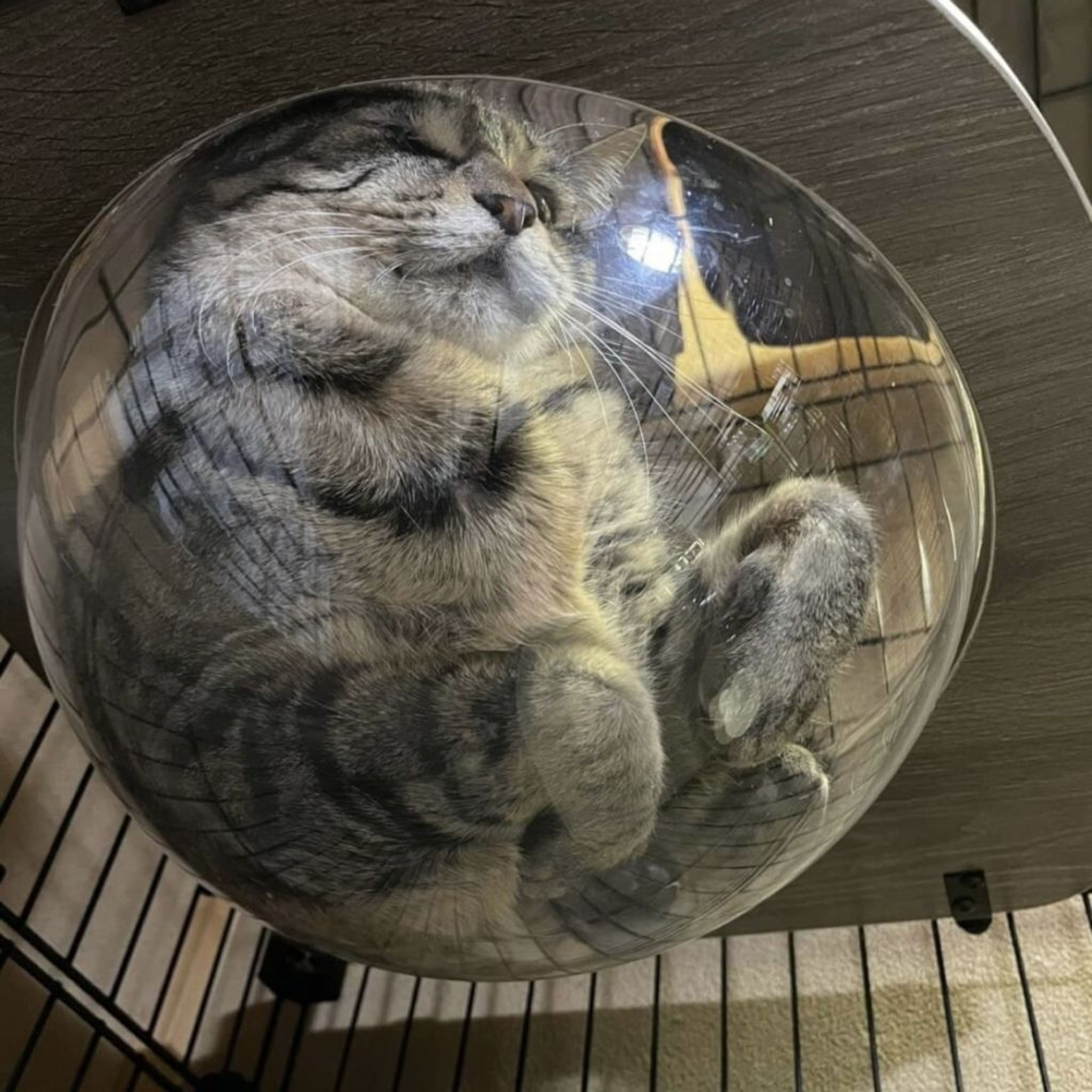 image-7