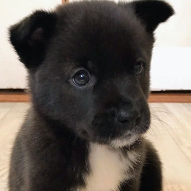 名無しちゃんの写真
