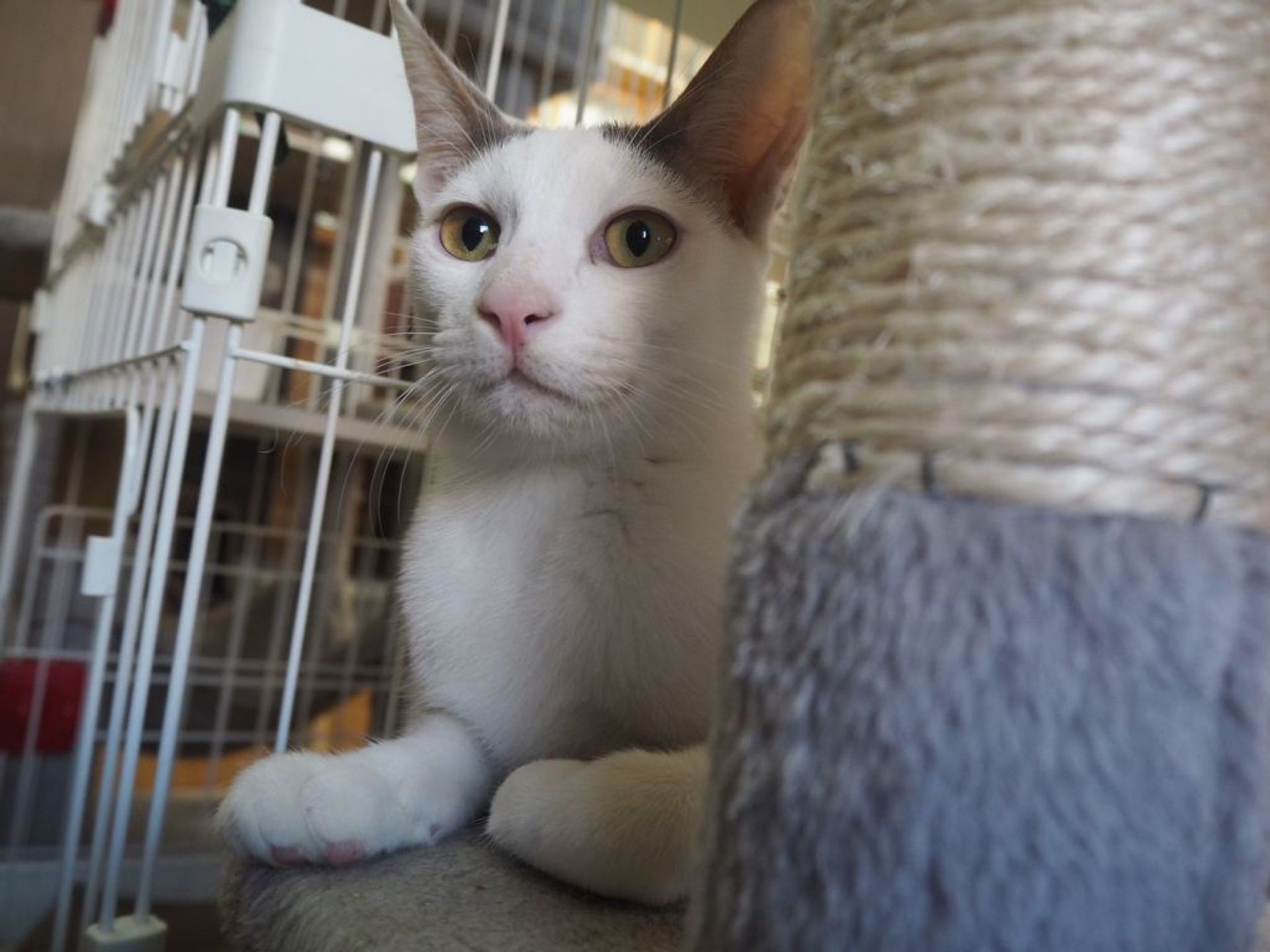 thumbnail-7
