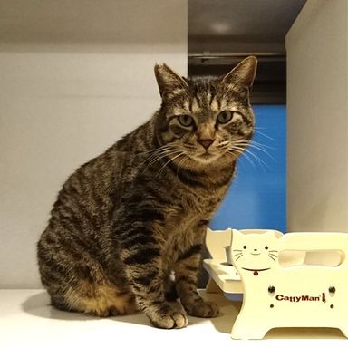 名無しちゃんの写真