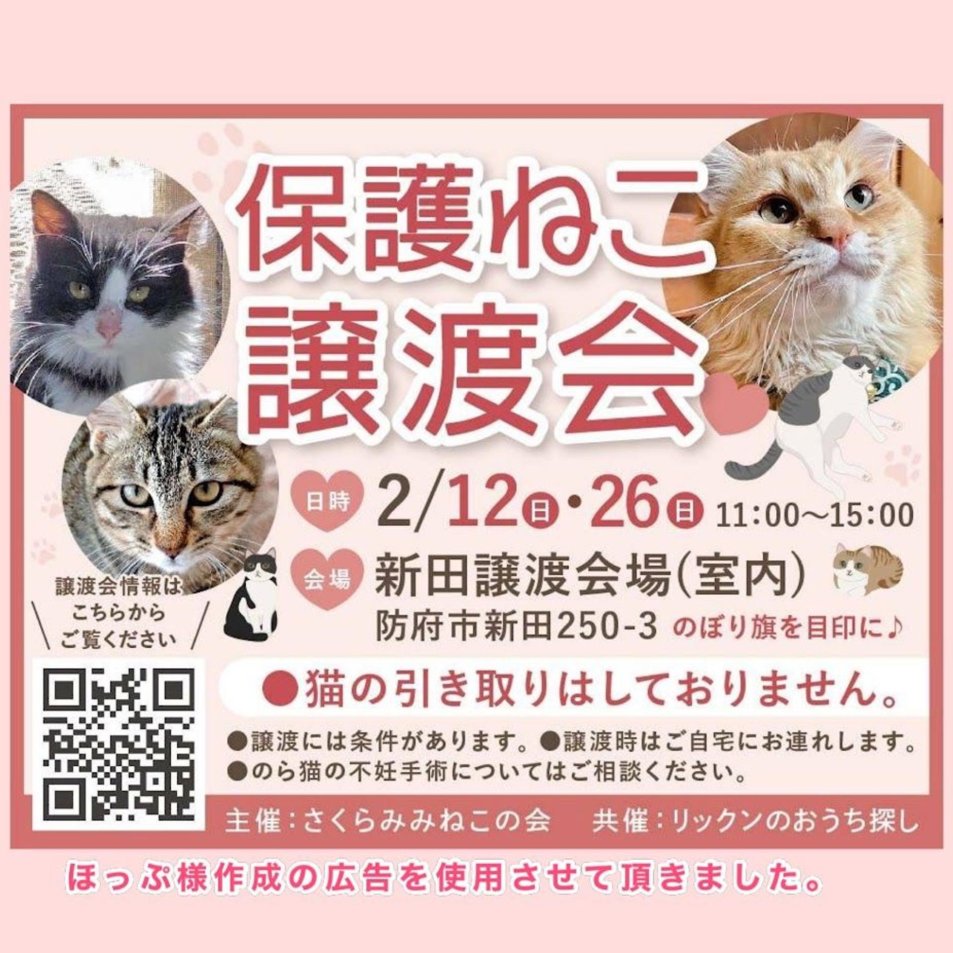 pet-image-5