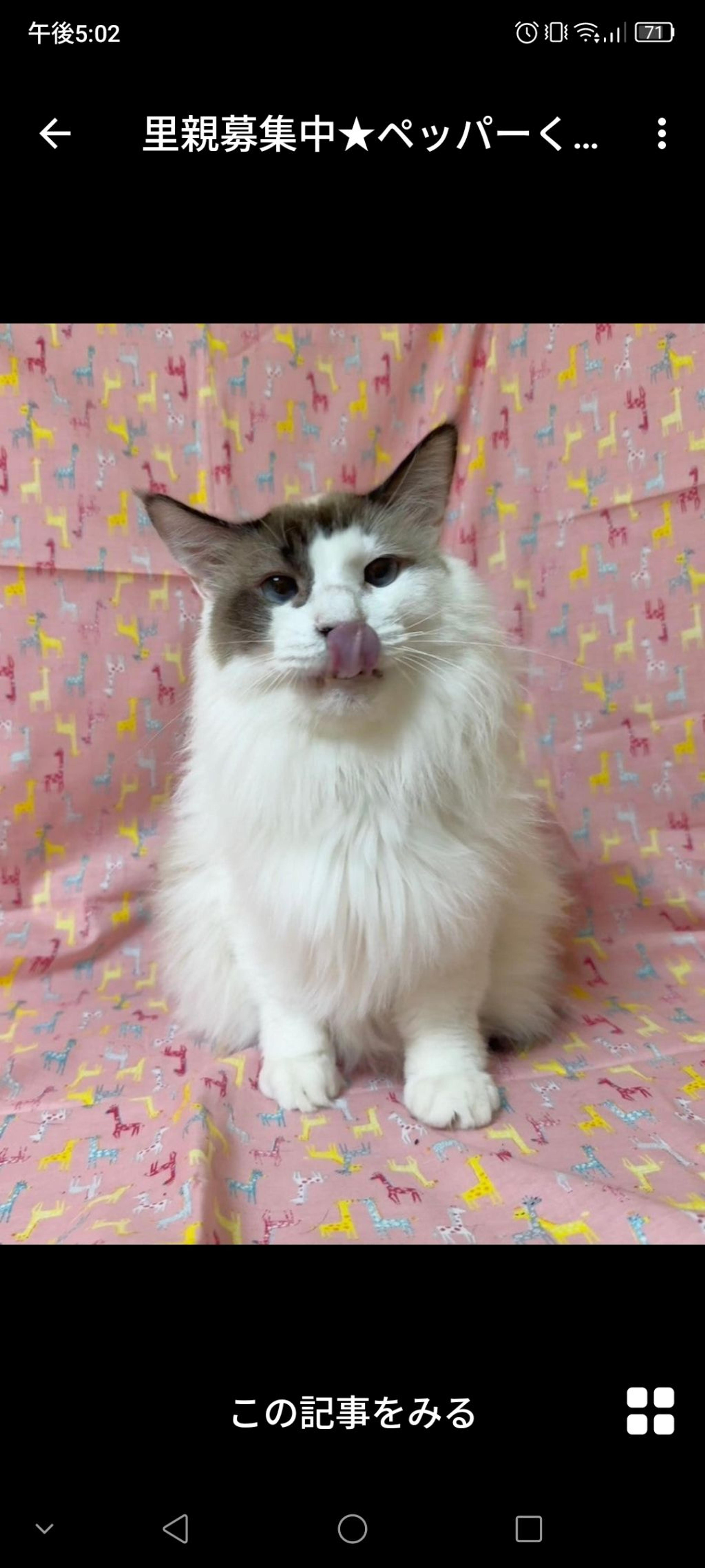 pet-image-2