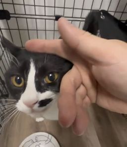 thumb-3