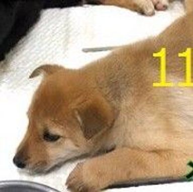 名無しちゃんの写真