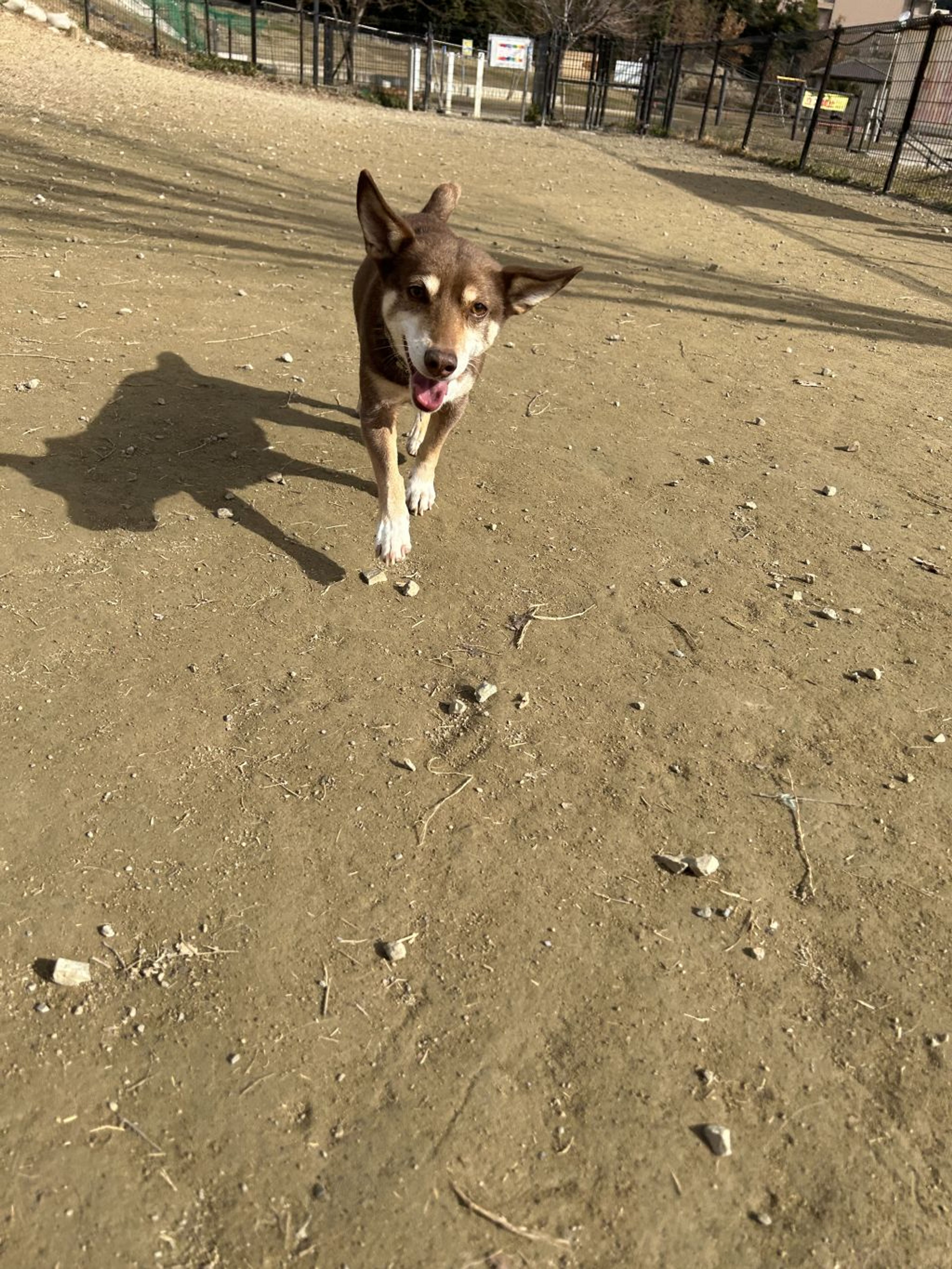 image-7