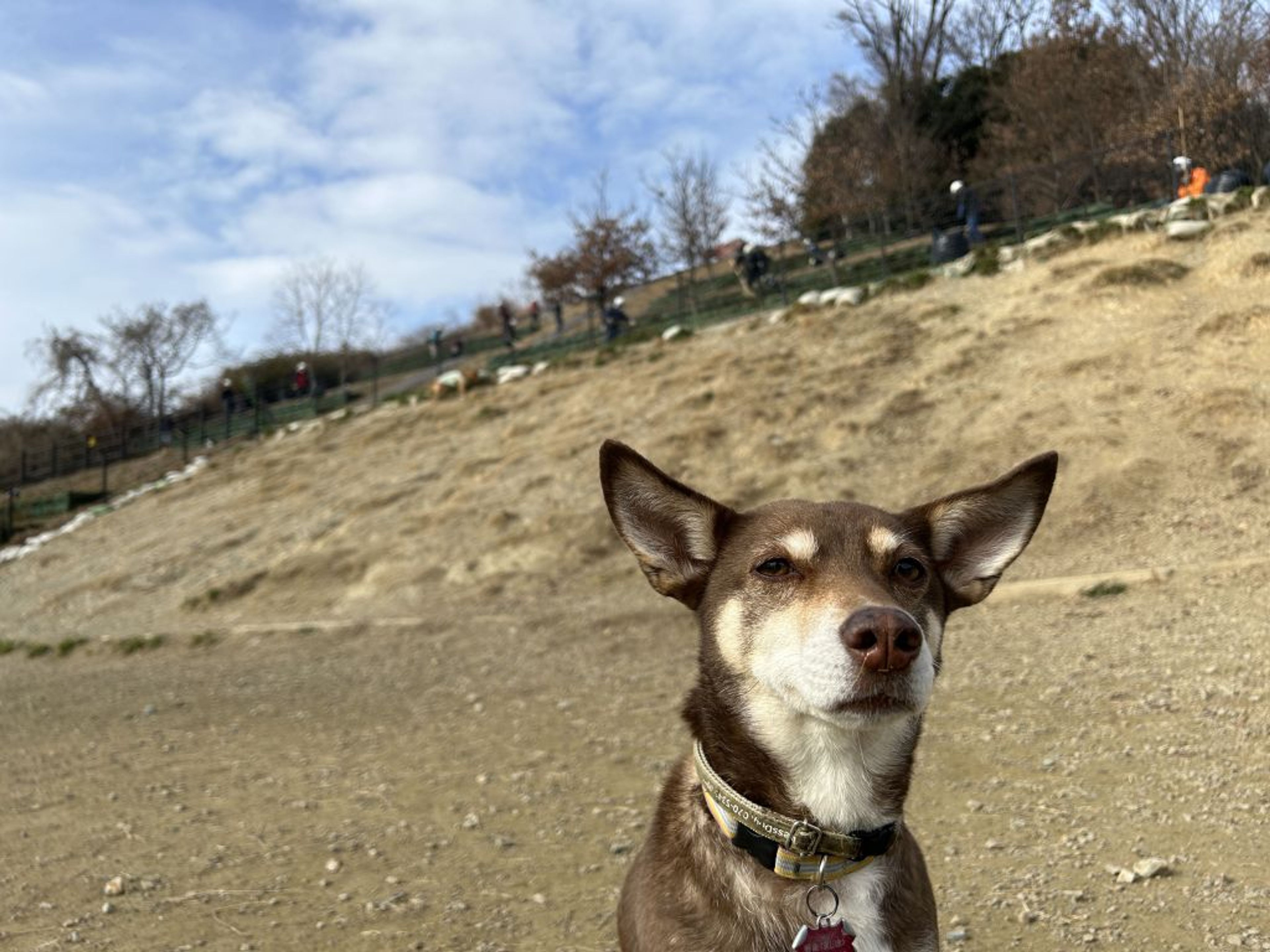image-9