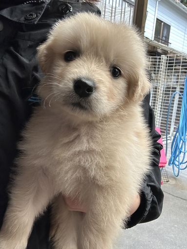 さっちゃん