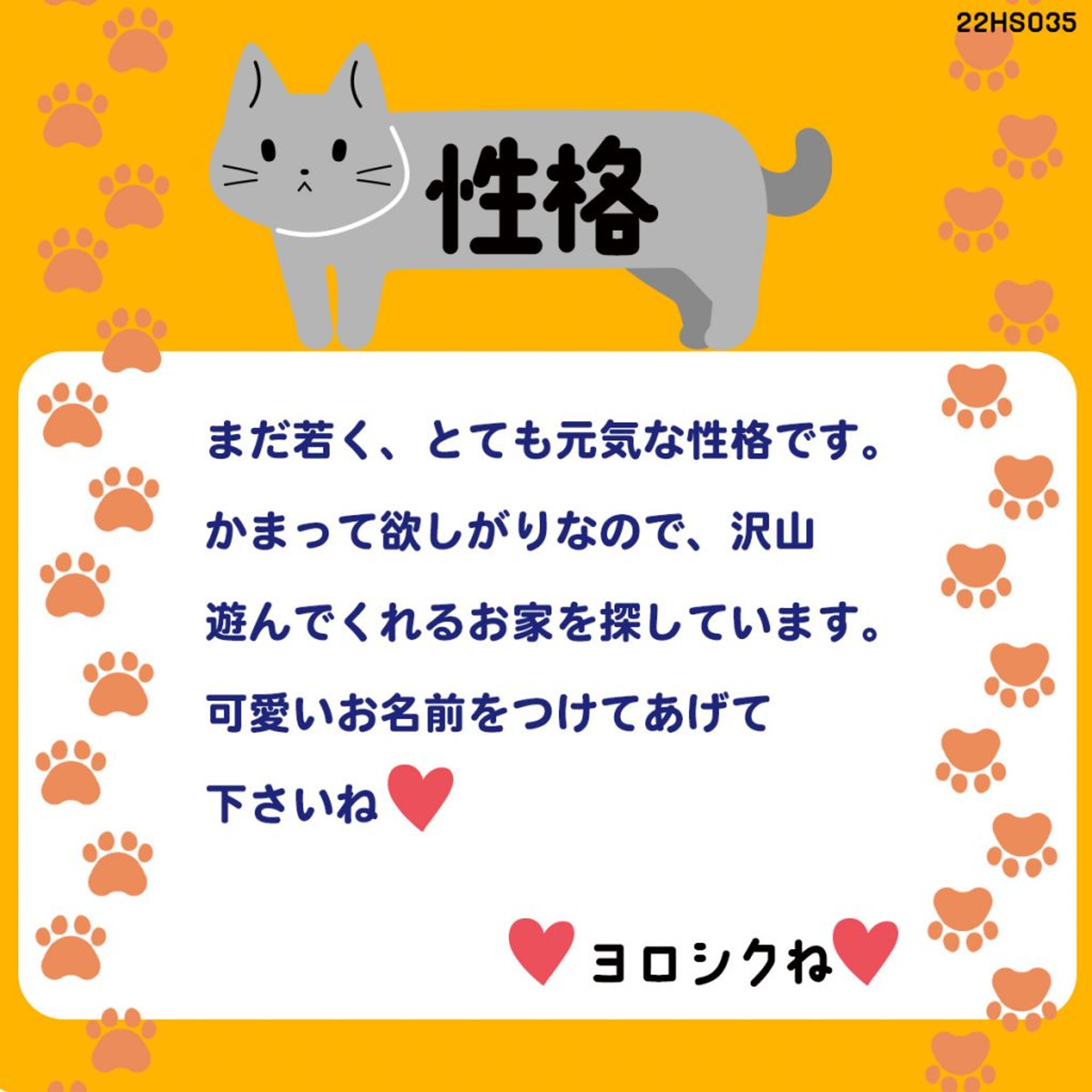 pet-image-4