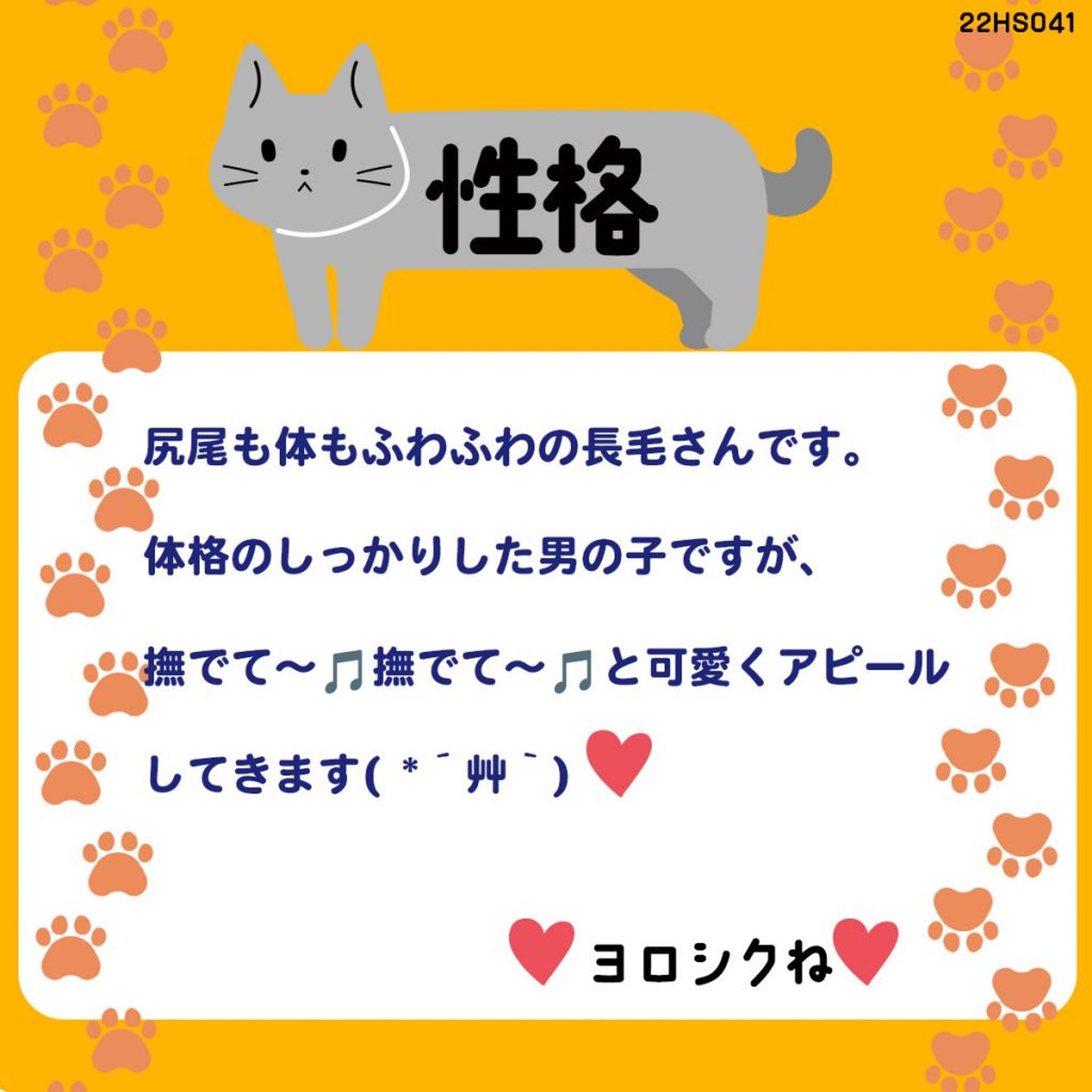 pet-image-3