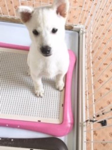 名無しちゃんの写真
