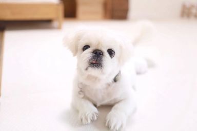 いほ【お見合い場所：大阪】の写真