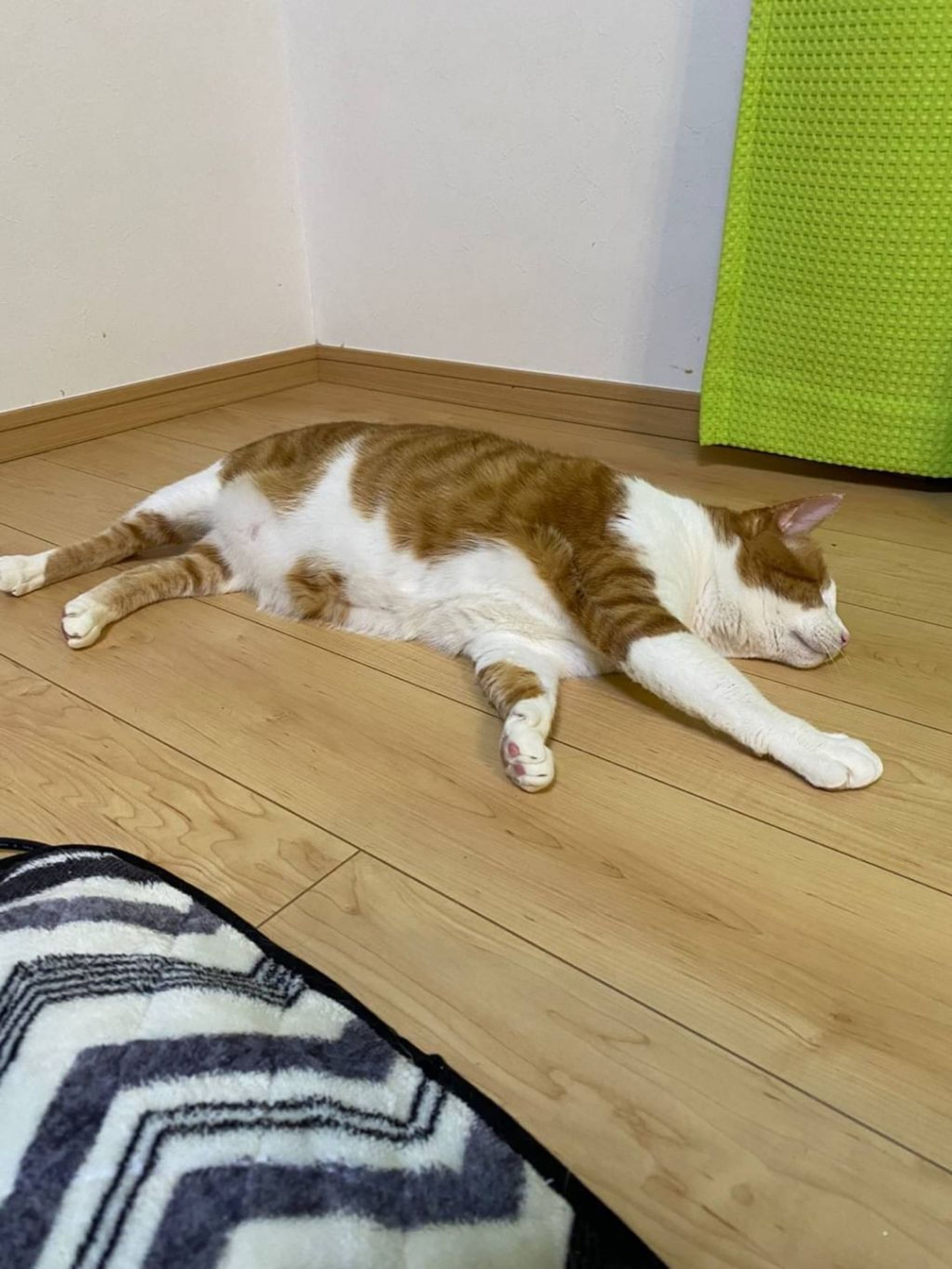 image-6