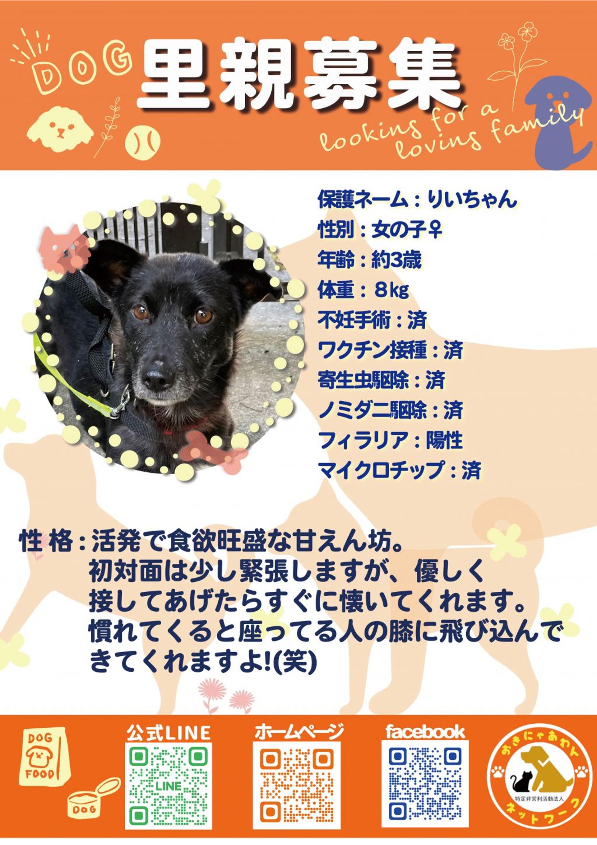 pet-image-4