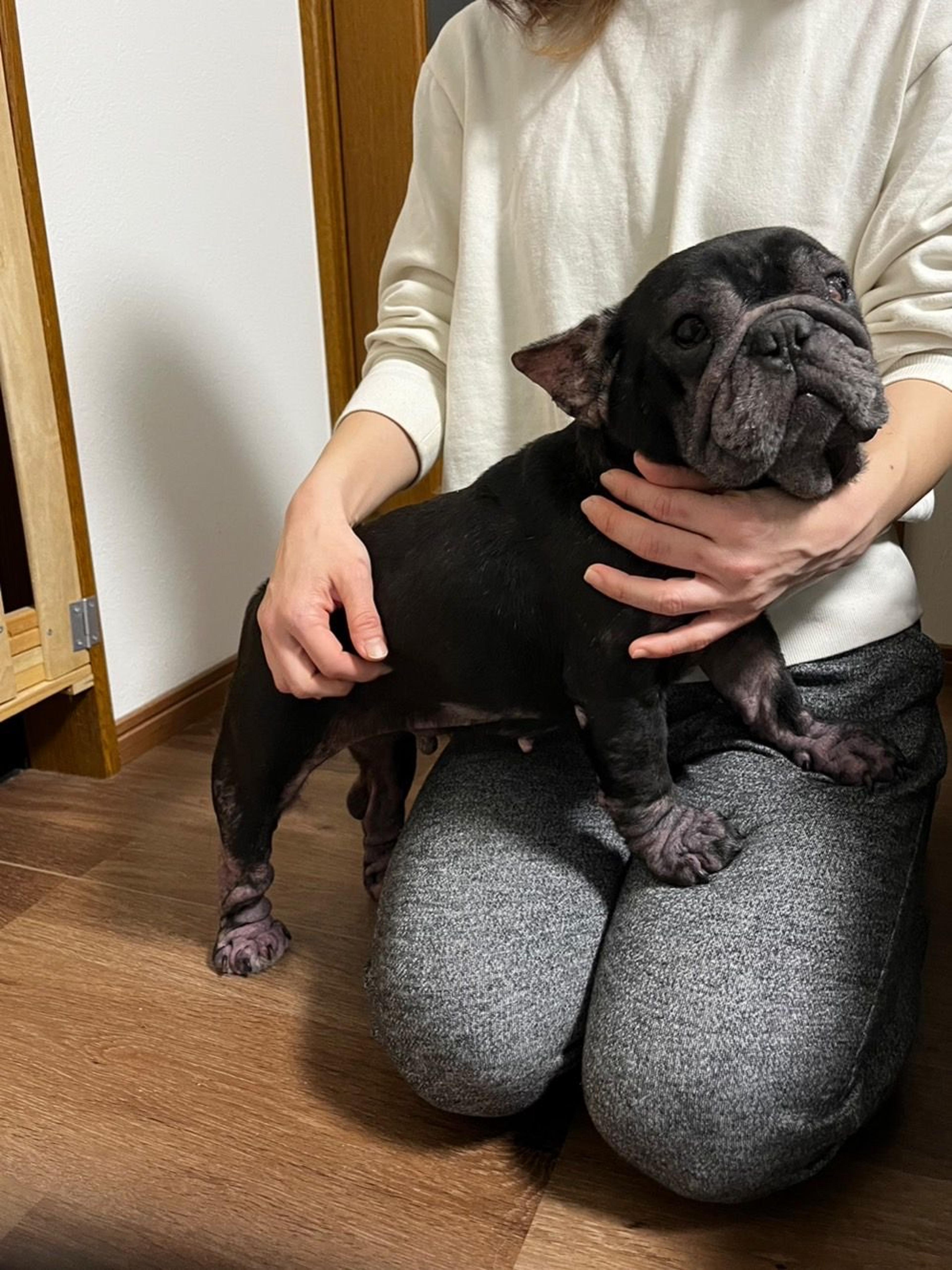 pet-image-7