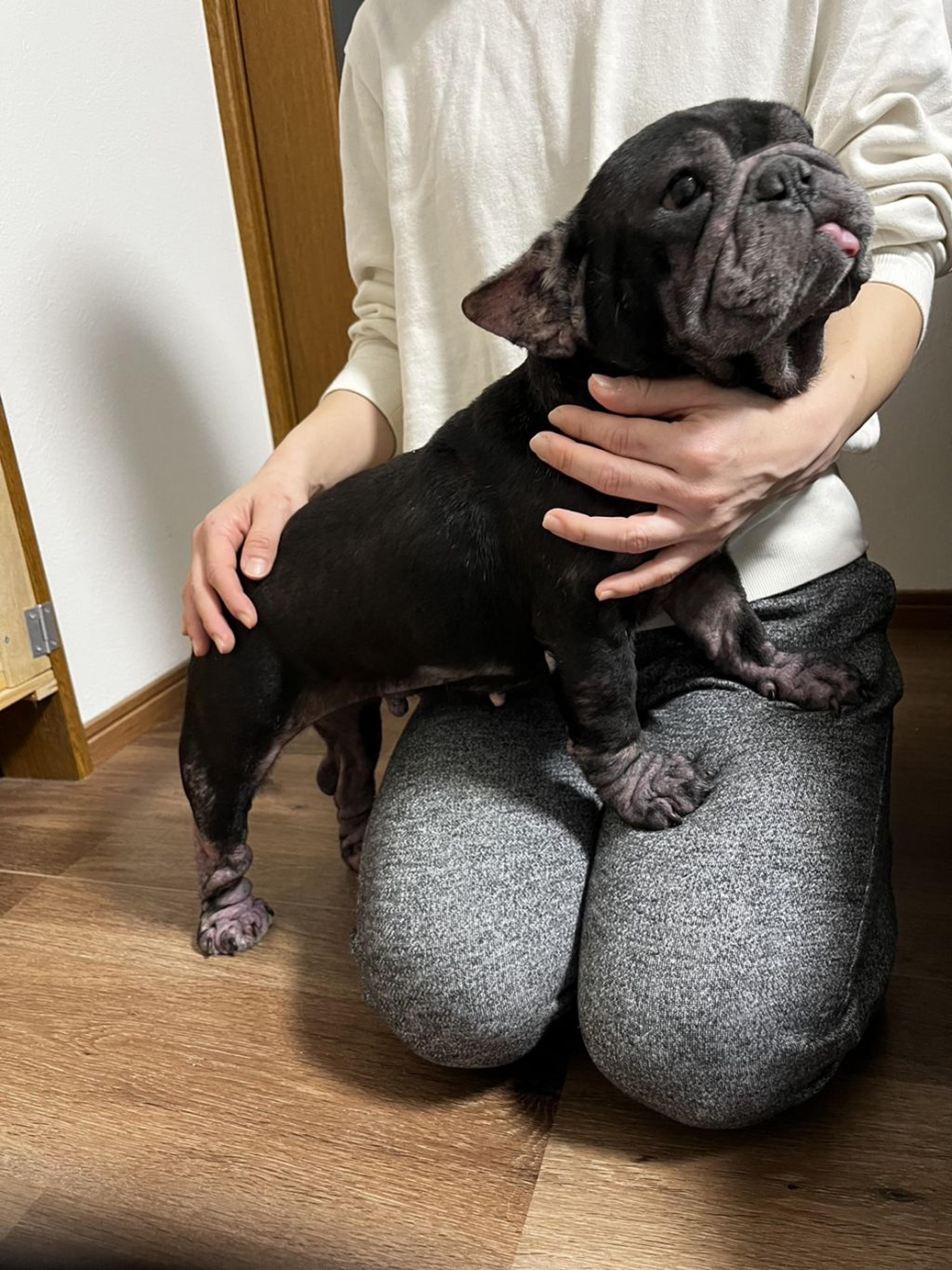 pet-image-8