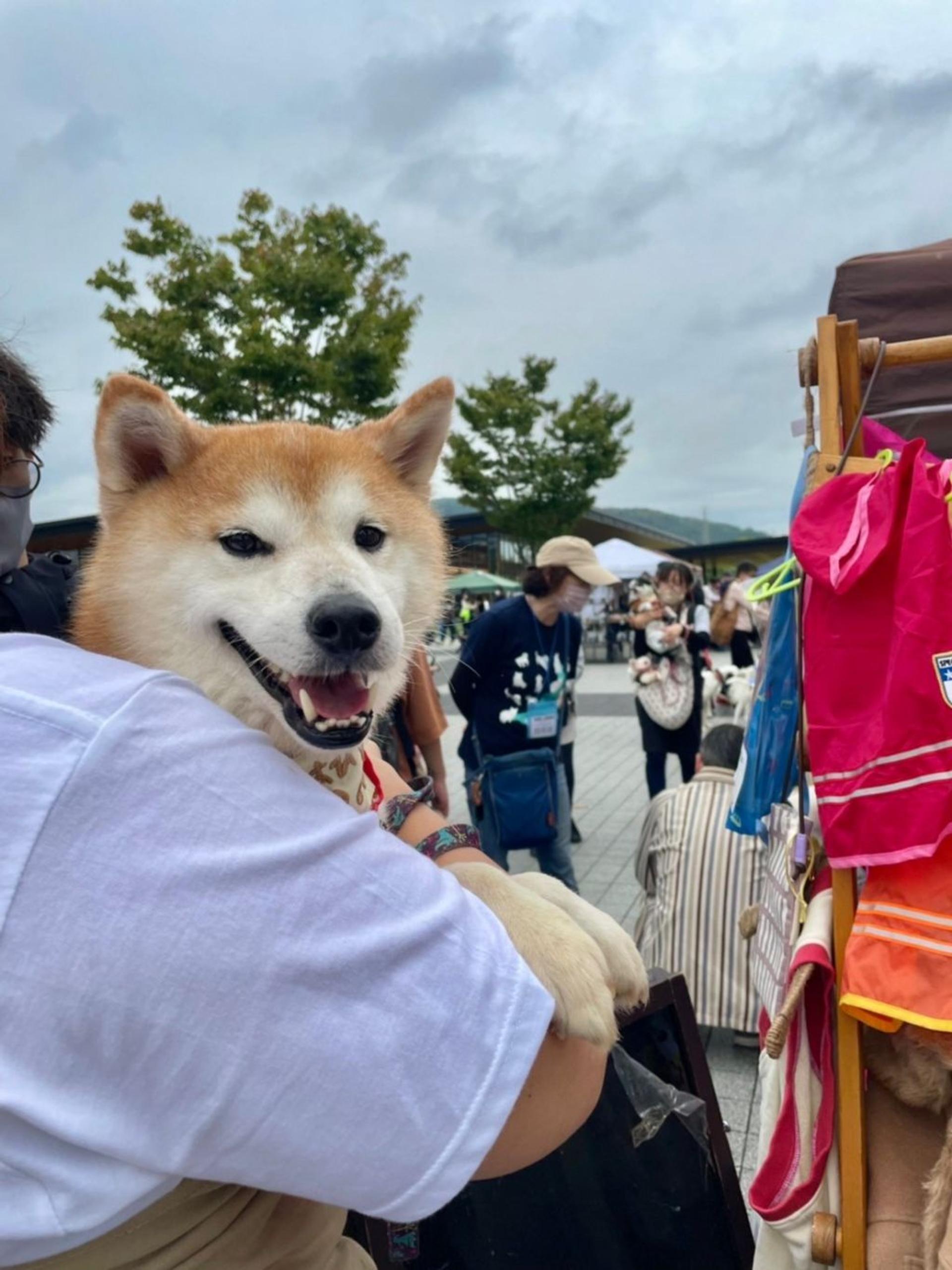 pet-image-9