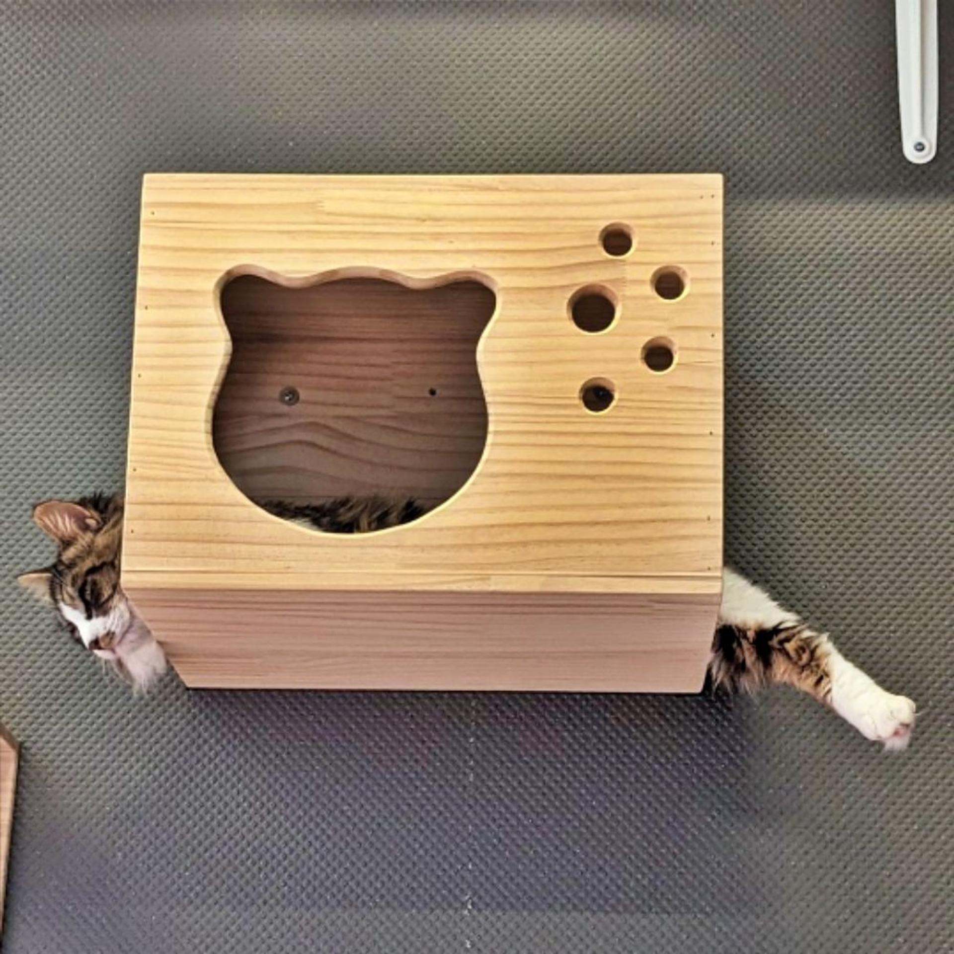 pet-image-7