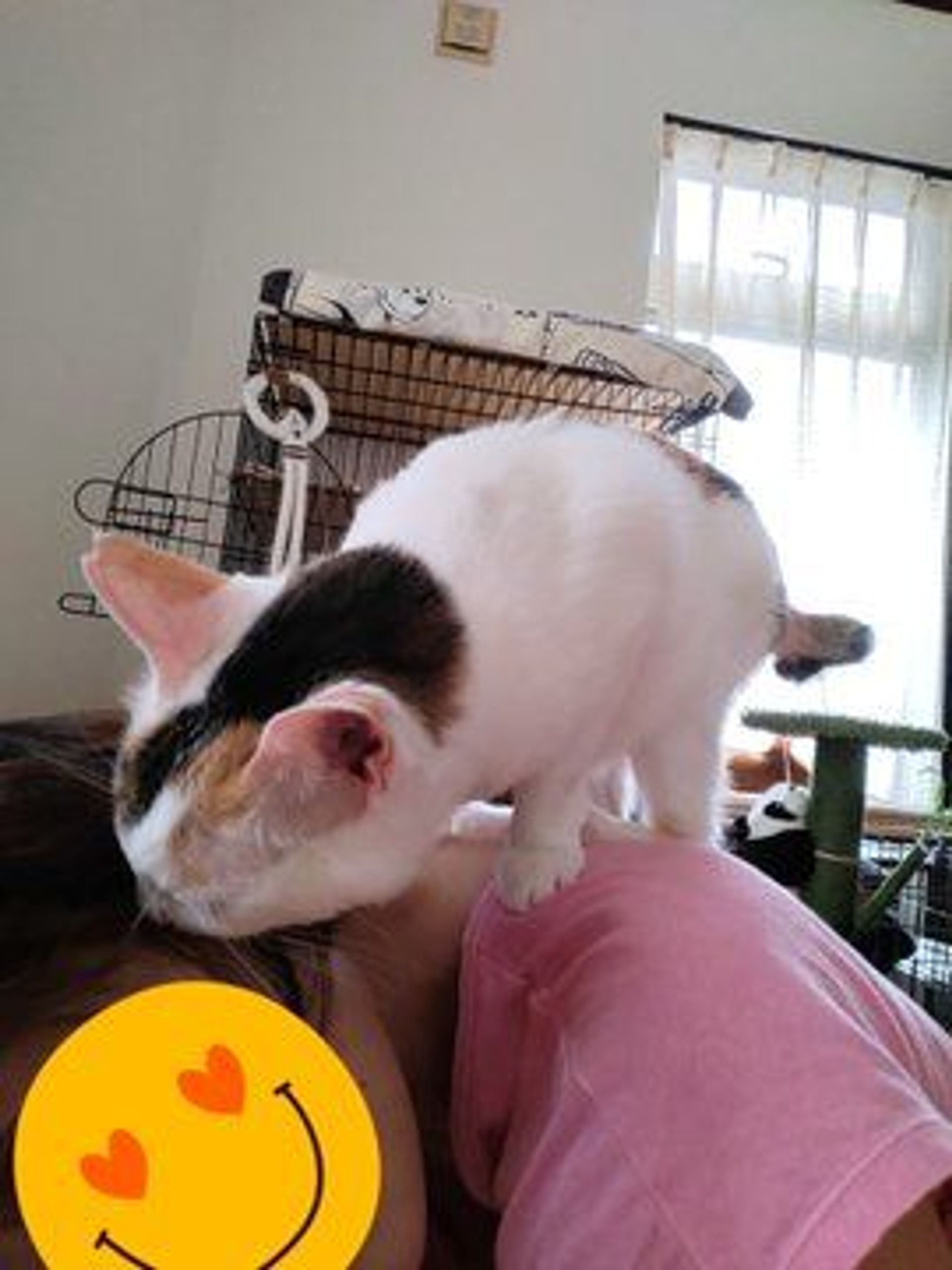 thumbnail-2