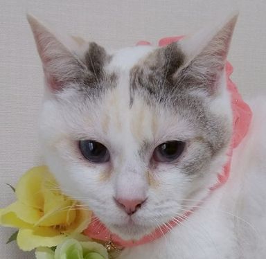 名無しちゃんの写真