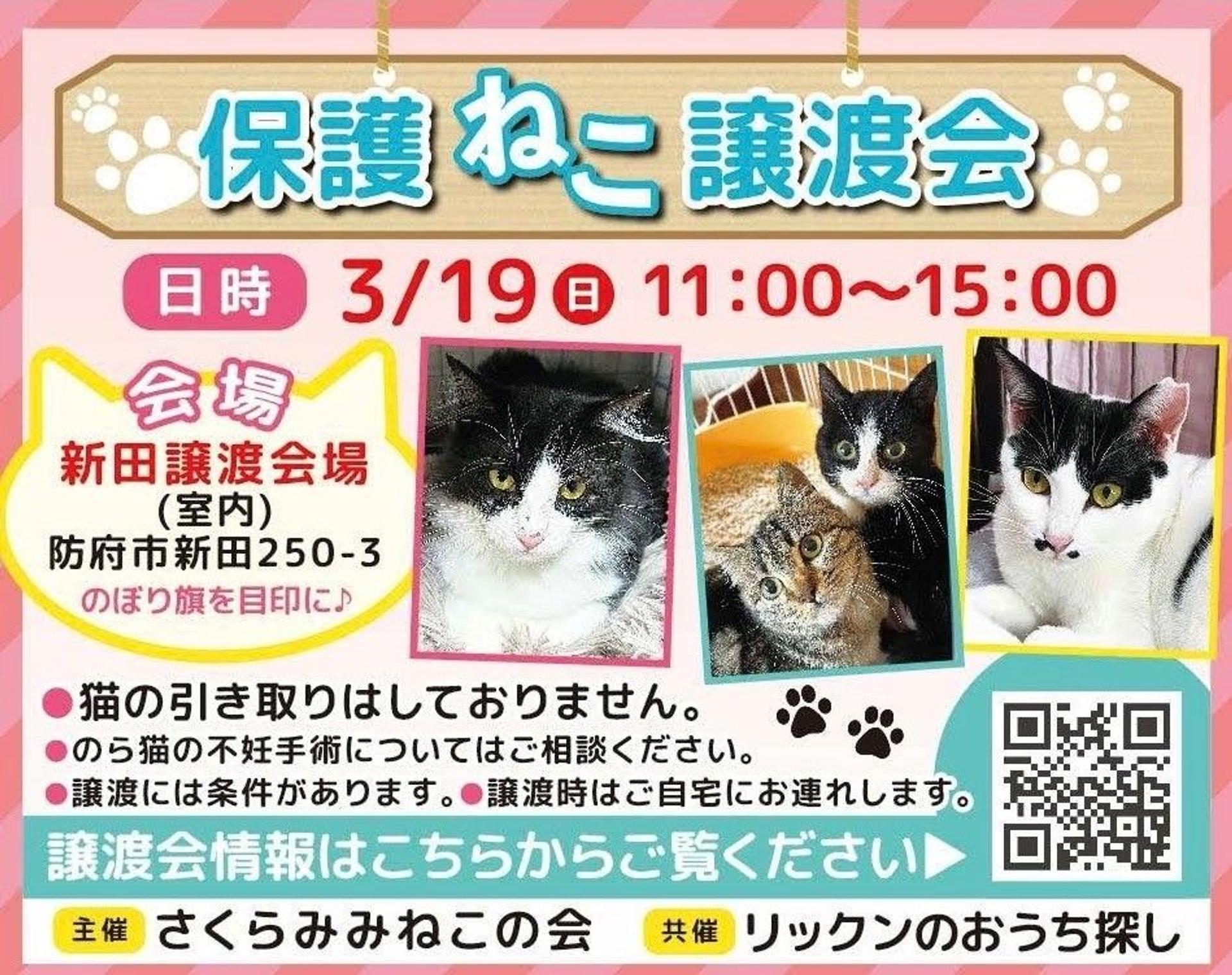 pet-image-5