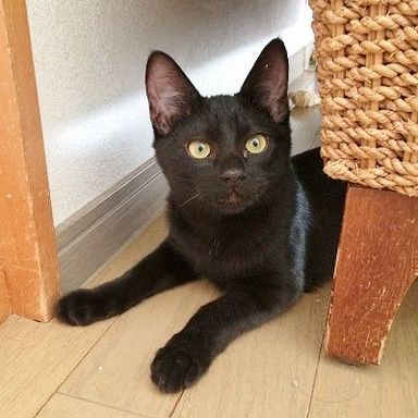 名無しちゃんの写真