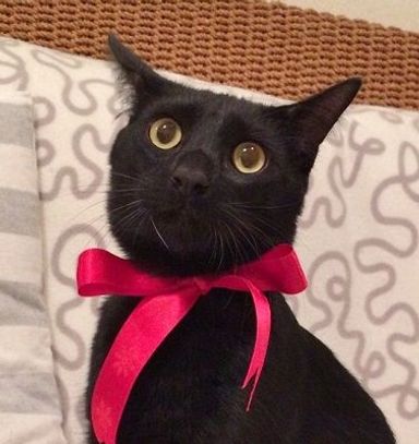 名無しちゃんの写真