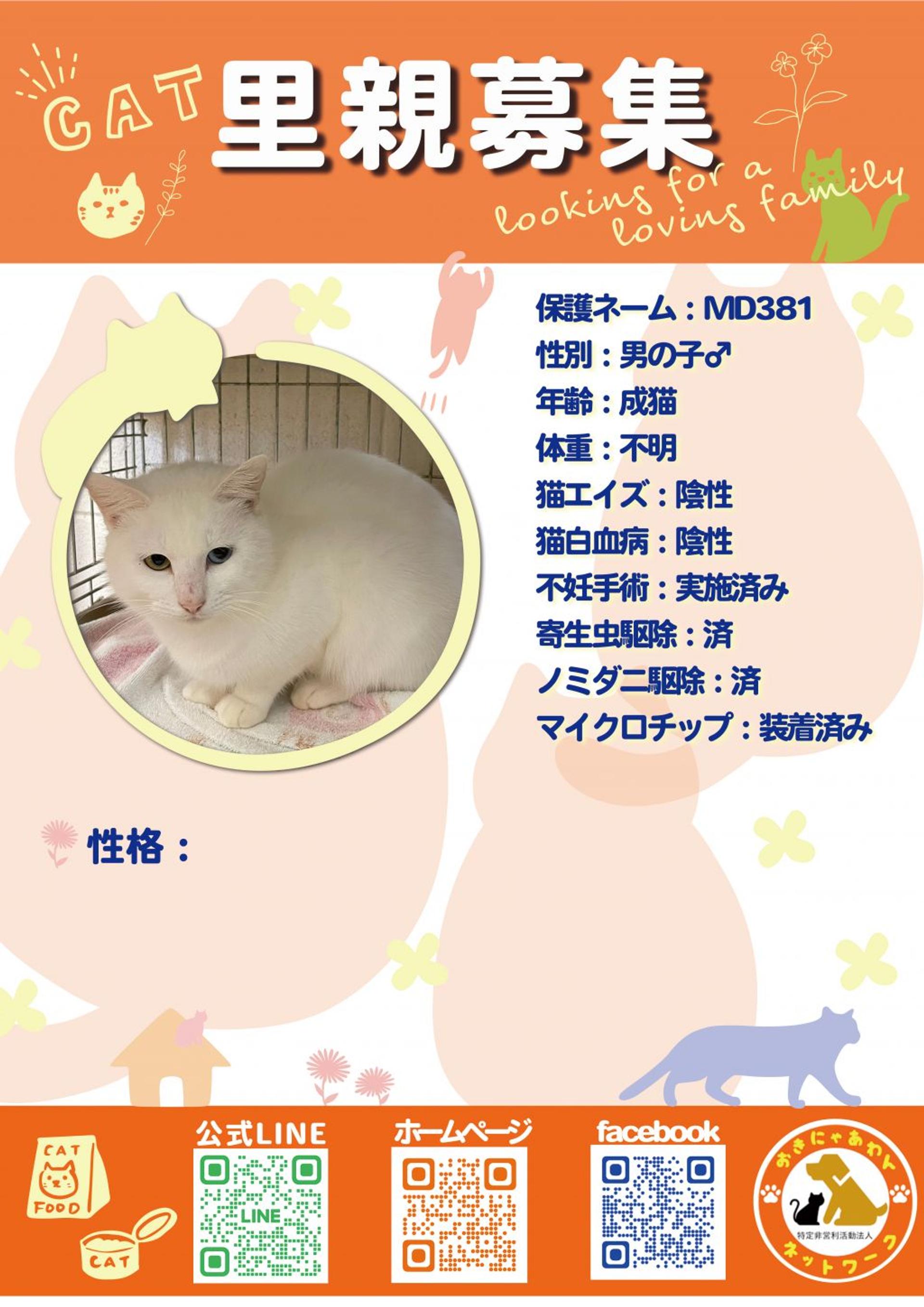 pet-image-3