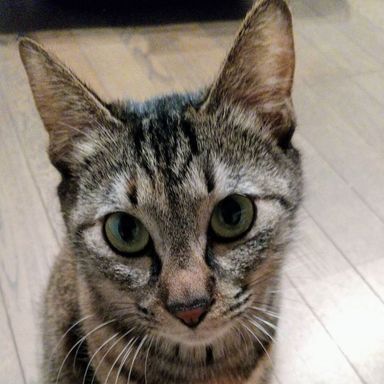 ベビーの写真