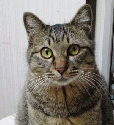 名無しちゃんの写真