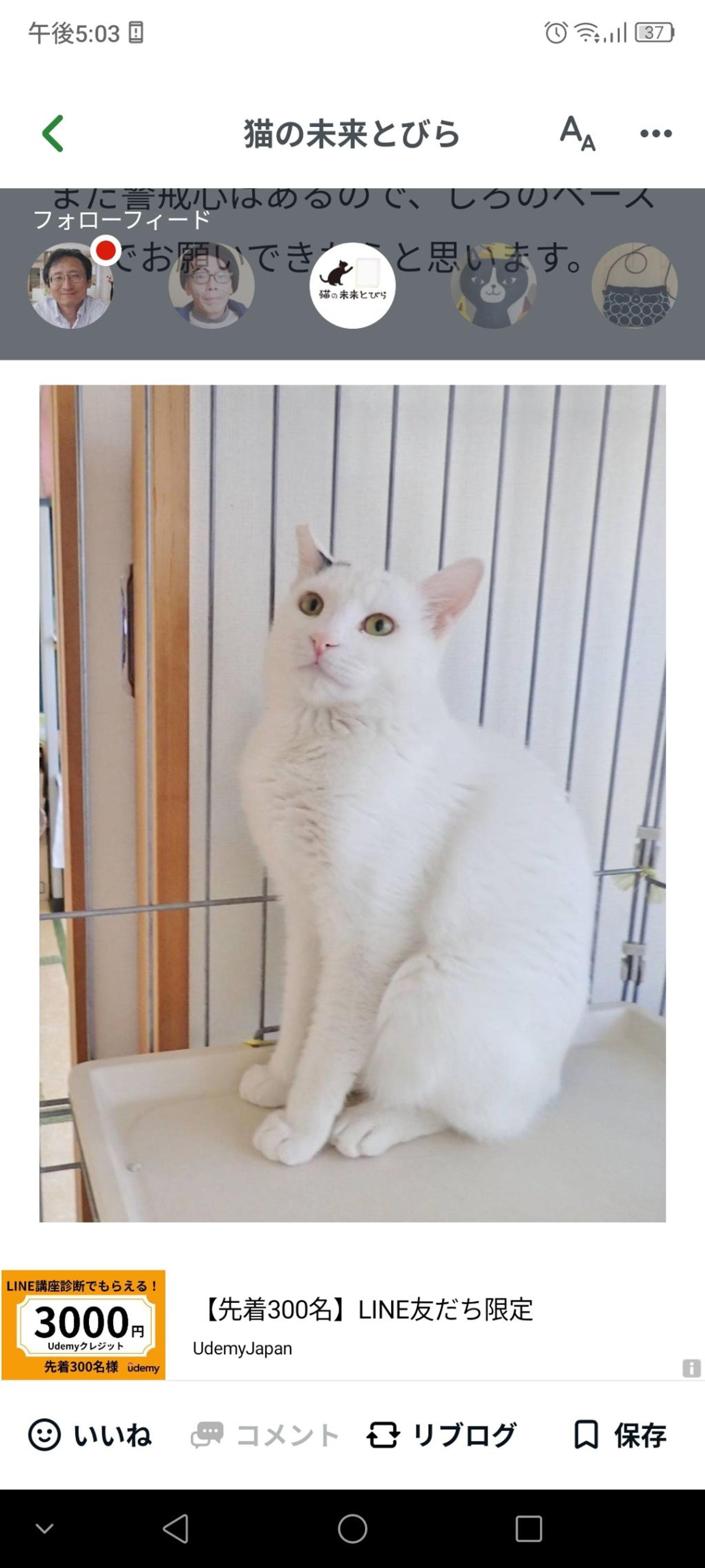 pet-image-3