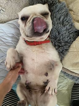 thumb-2