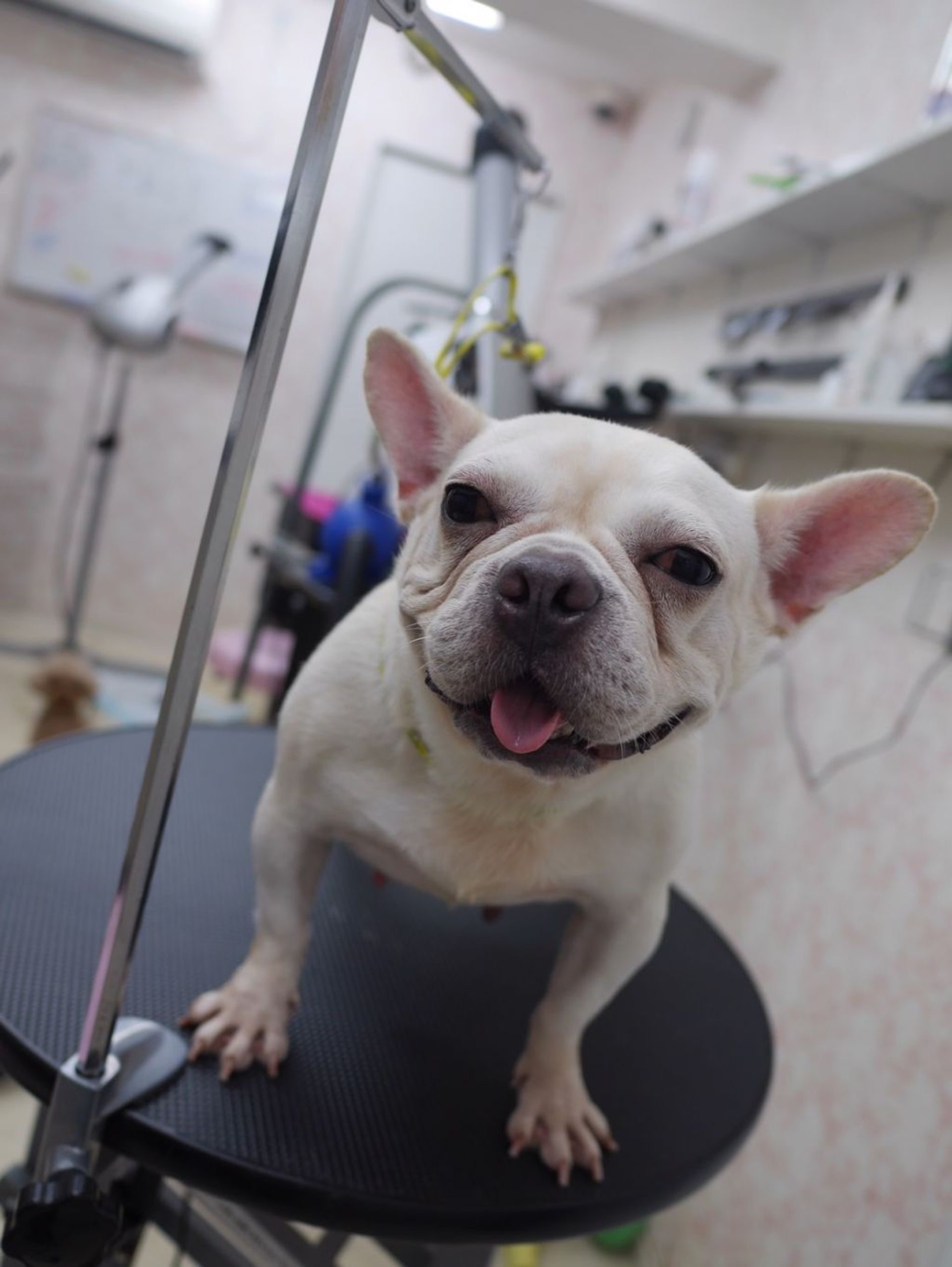 thumbnail-5