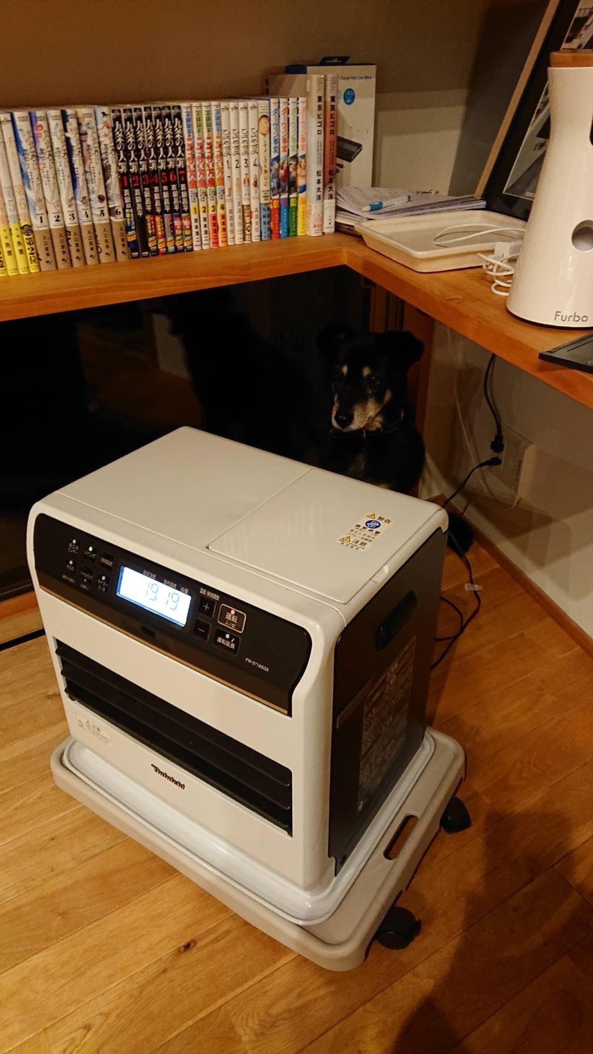 pet-image-6