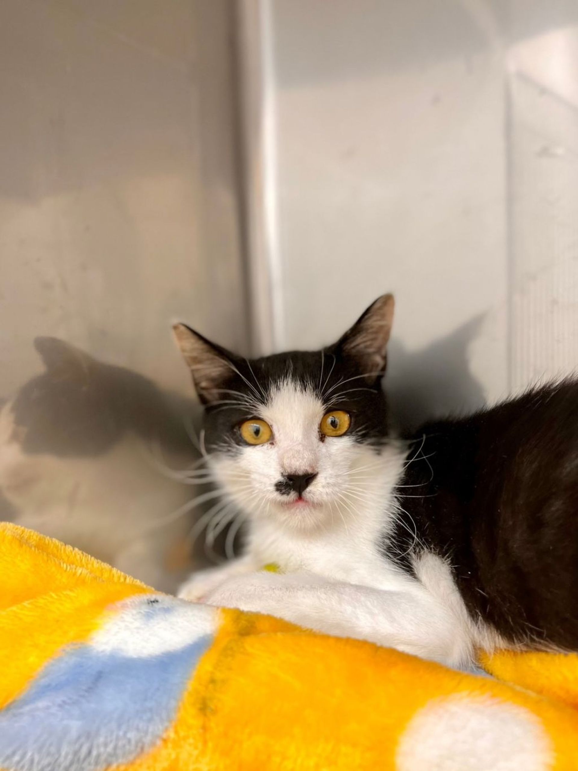 thumbnail-4