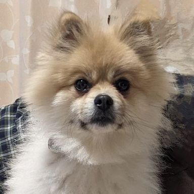 ルソーちゃんの写真