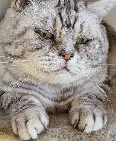 ぽよくんですの写真