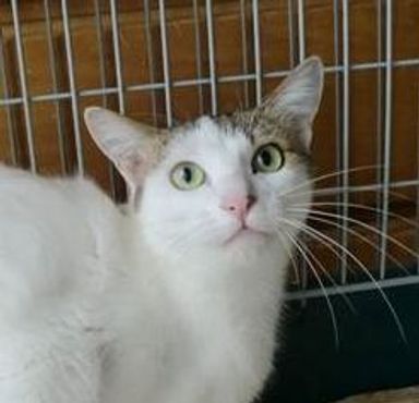 名無しちゃんの写真