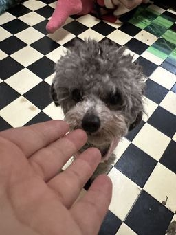 thumb-1