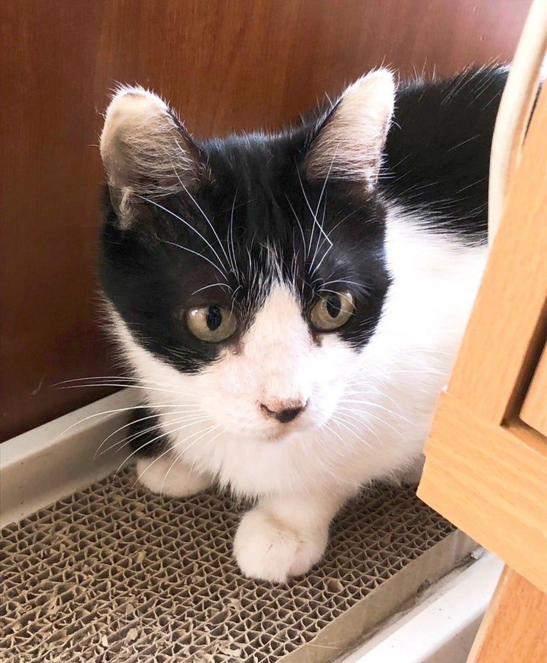 thumbnail-3