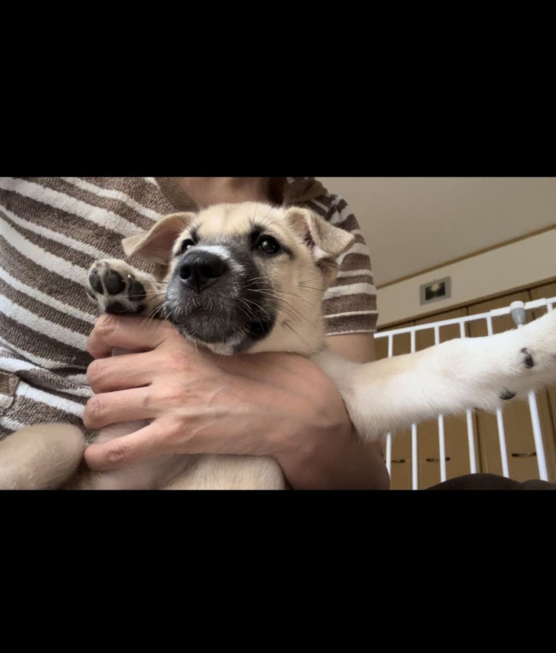 thumbnail-7